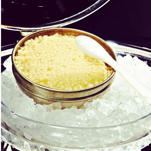 13 món ăn đắt nhất thế giới khiến bạn phải kinh ngạc-8