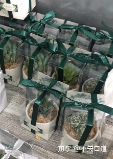 Ghét đám cưới truyền thống khách sạn, cô dâu tự tổ chức hôn lễ ngoài trời nhỏ xinh với 30 khách!-5