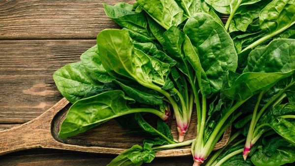 Siêu thực phẩm’ rau chân vịt rất bổ dưỡng nhưng cũng có thể gây nên sỏi thận, giảm hấp thụ canxi-1