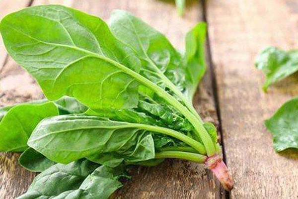 Siêu thực phẩm’ rau chân vịt rất bổ dưỡng nhưng cũng có thể gây nên sỏi thận, giảm hấp thụ canxi-2