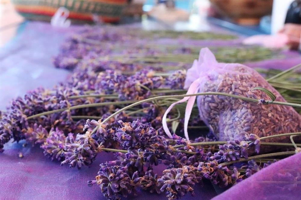 Tủ quần áo toàn đồ sạch mà vẫn hôi như cú, chị em tiện tay vứt thứ này vào mai thơm nức mũi-4
