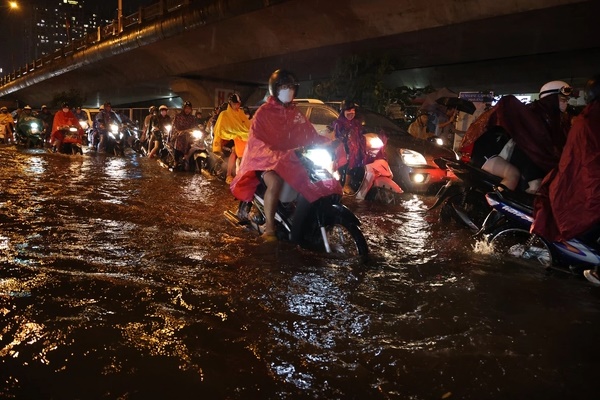 Hà Nội mưa ngập thường xuyên, nhiều người sẽ phải đương đầu với một loại sinh vật-1