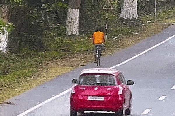 Báo hoa mai phi thân 'hạ gục' người đàn ông đạp xe trên đường