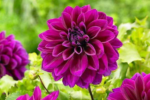 Sinh vào 6 ngày Âm lịch này, vượng vận quý nhân, giàu sang sau 40 tuổi-1