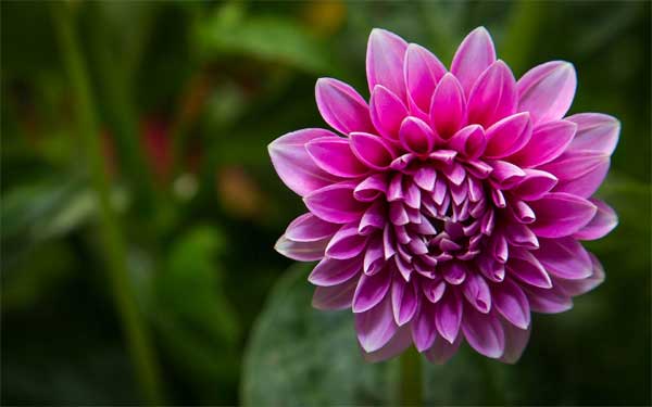 Sinh vào 6 ngày Âm lịch này, vượng vận quý nhân, giàu sang sau 40 tuổi-2