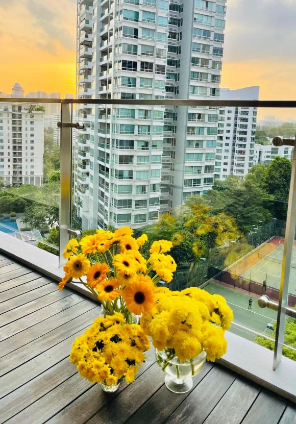 Đoan Trang khoe được Thu Minh và Bằng Lăng qua chơi nhà, lộ góc view không gian sống cực xịn xò ở Singapore-11
