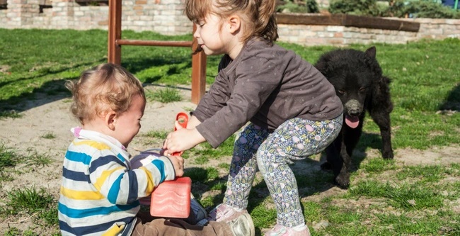 3 câu nói cửa miệng của những đứa trẻ sau này không biết hiếu thuận với cha mẹ: Nếu thấy con mình hay nói như vậy, cha mẹ cần sửa ngay lập tức-2