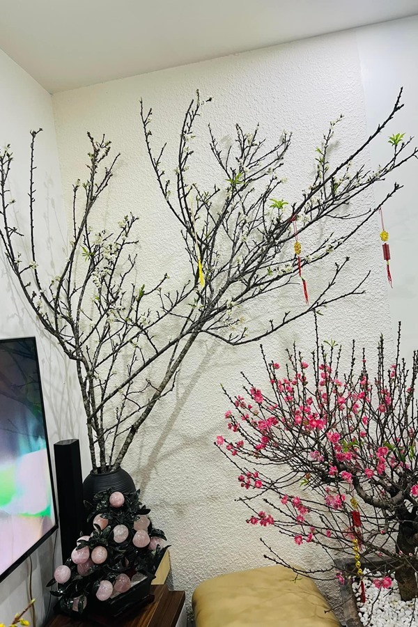 Ngắm căn nhà thuê của nghệ sĩ vừa xuất hiện trở lại trên truyền hình sau một năm trị bệnh-11