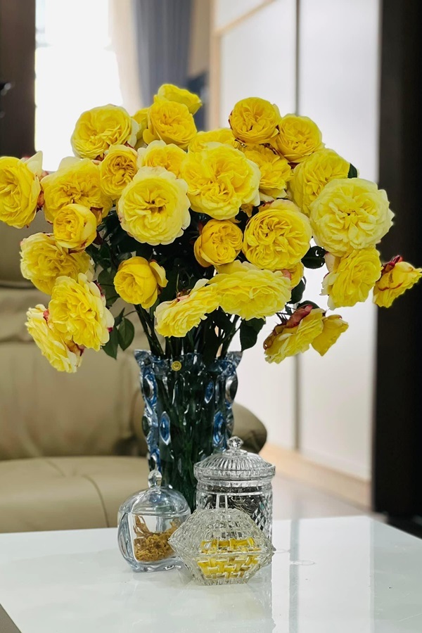 Ngắm căn nhà thuê của nghệ sĩ vừa xuất hiện trở lại trên truyền hình sau một năm trị bệnh-14