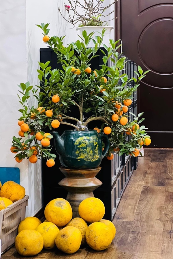 Ngắm căn nhà thuê của nghệ sĩ vừa xuất hiện trở lại trên truyền hình sau một năm trị bệnh-15