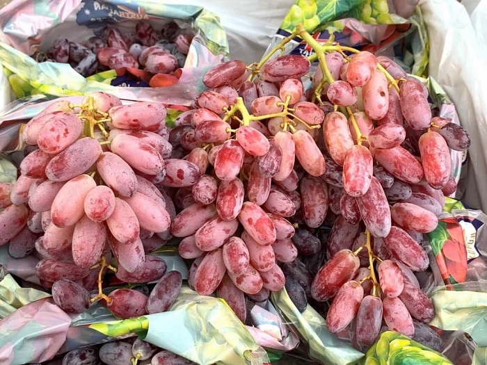Hoa quả Úc dội chợ Việt với giá siêu rẻ”, chỉ từ vài chục nghìn đồng/kg-2