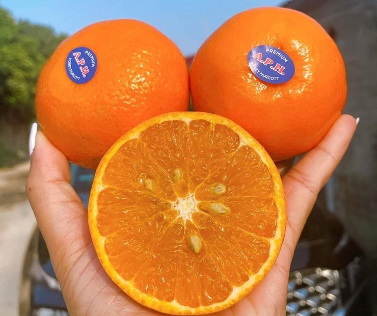 Hoa quả Úc dội chợ Việt với giá siêu rẻ”, chỉ từ vài chục nghìn đồng/kg-3