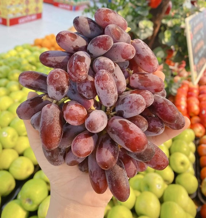 Hoa quả Úc dội chợ Việt với giá siêu rẻ”, chỉ từ vài chục nghìn đồng/kg-4