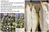 Người bán tiết lộ sự thật về sầu riêng Ri 6 siêu rẻ chỉ 45 nghìn/kg: Chọn sao để sầu nhiều cơm, hạt lép