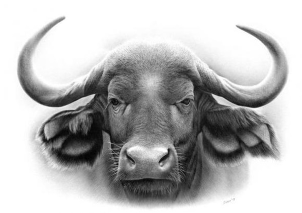 15 ngày tới, những con giáp cẩn thận dễ gặp họa tiểu nhân, vừa mất tiền lại mang họa vào thân-1