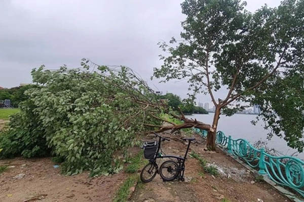 Cô gái truyền bá các video khiêu dâm, trái với thuần phong mỹ tục-2