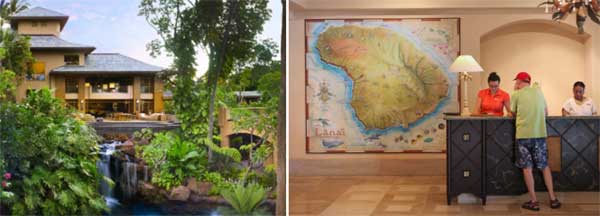 Cuộc sống trái ngược ở hòn đảo của tỷ phú công nghệ-2