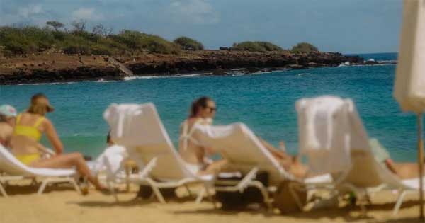 Cuộc sống trái ngược ở hòn đảo của tỷ phú công nghệ-4