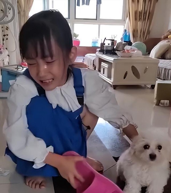 Clip: Cô bé cầm dép hỏi tội cún cưng vì dám cắn xé bài kiểm tra, đòi giao nộp tội đồ cho cô giáo-1