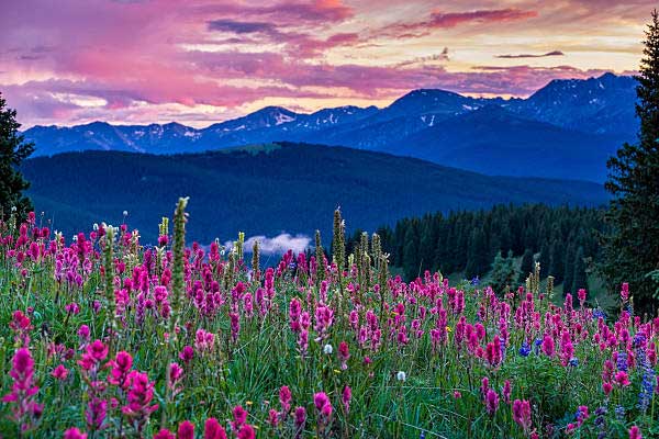 3 con giáp có đường công danh rộng mở, hứa hẹn thăng quan tiến chức trong thời gian tới-3