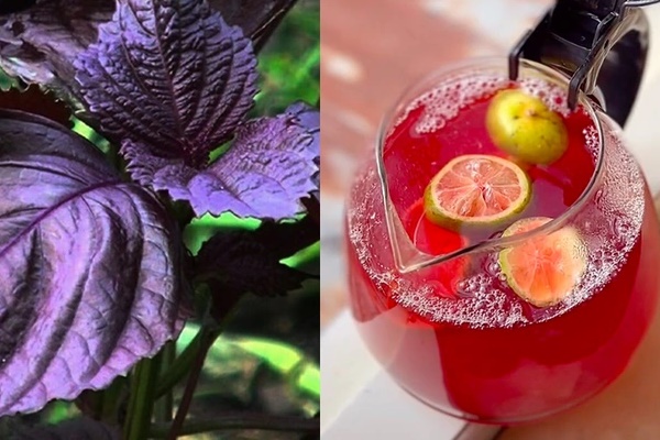 Bỏ thứ này vào nước nóng và uống mỗi sáng, nội tạng sạch khỏe, da mịn đẹp mê-1