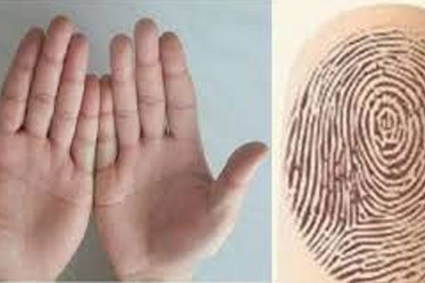 Cổ nhân nói 3 hoa 7 ốc thì giàu: Đếm số hoa tay biết ngay vận mệnh giàu sang hay suốt đời cực khổ-1