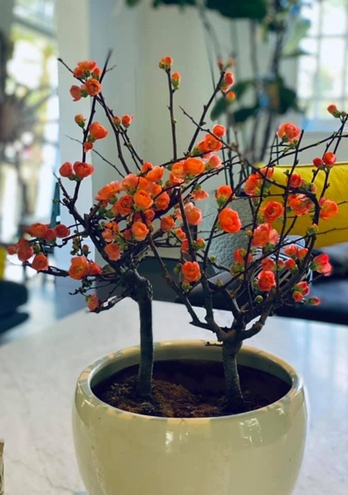 Những căn hộ siêu sang của siêu mẫu Bằng Lăng tại các nước khiến người xem choáng váng-11