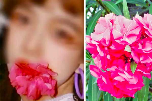 Ngậm hoa sống ảo” và cái kết đắng của blogger Trung Quốc-1