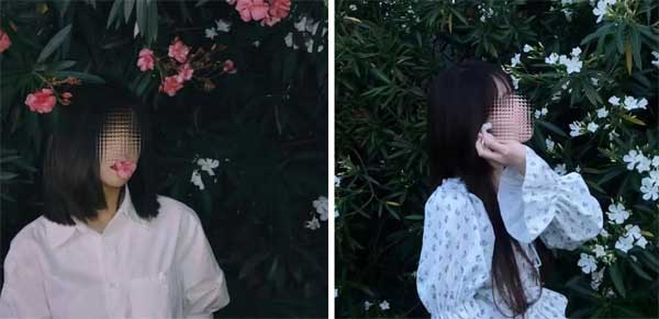 Ngậm hoa sống ảo” và cái kết đắng của blogger Trung Quốc-2