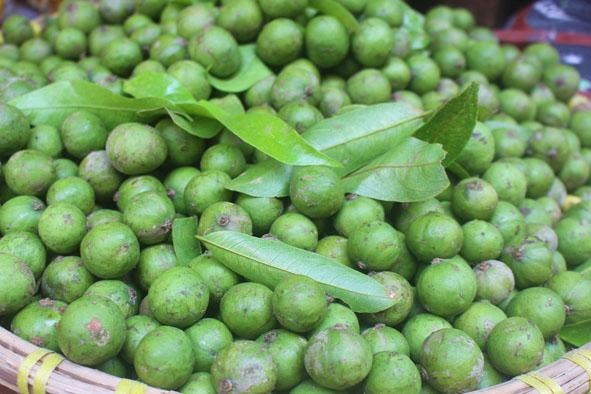 Mẹo bảo quản sấu tươi ngon dùng quanh năm cực đơn giản không phải ai cũng biết?-1