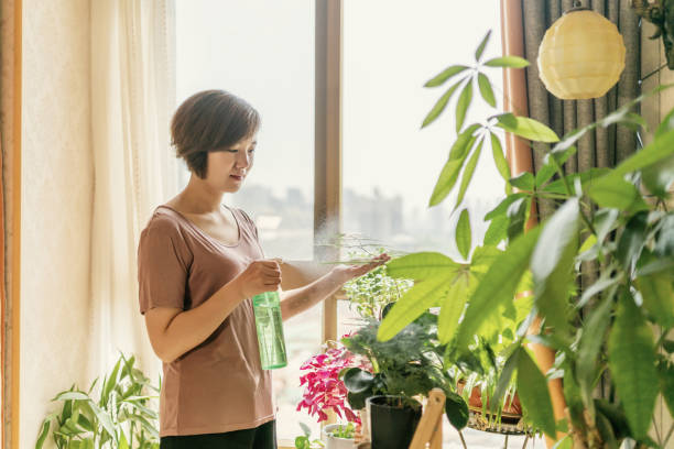 3 cây cảnh nở hoa như ý, hoa nở báo điềm lành, may mắn đến cửa, tài lộc vào nhà-1