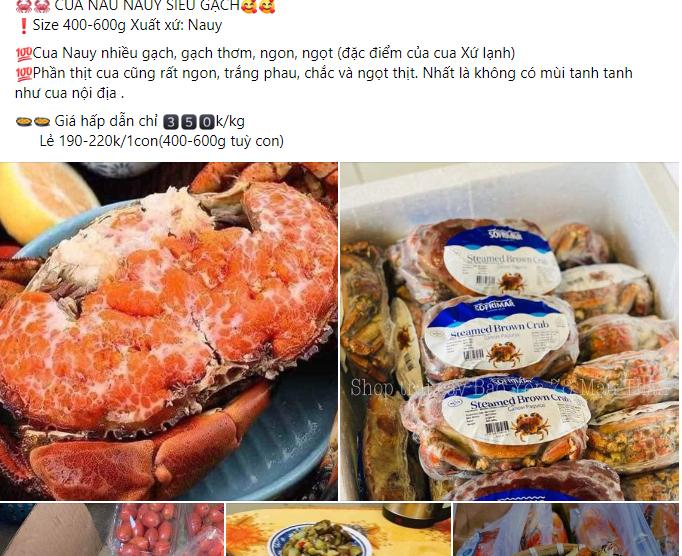 Vì sao cua nâu Nauy siêu to, siêu gạch giá chưa đầy 300.000 đồng/kg?-1