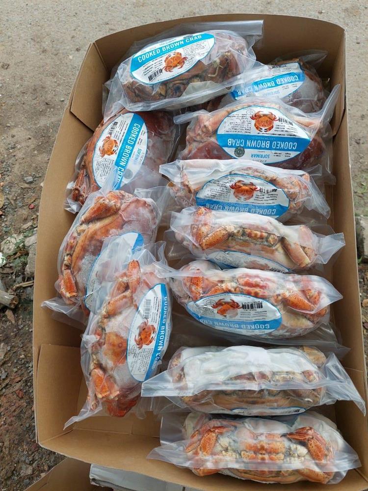 Vì sao cua nâu Nauy siêu to, siêu gạch giá chưa đầy 300.000 đồng/kg?-4