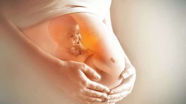 Mang bầu nên ăn gì để vào con không vào mẹ? Những nguyên tắc ăn uống thời kỳ mang thai giúp mẹ đẹp, con khỏe-1