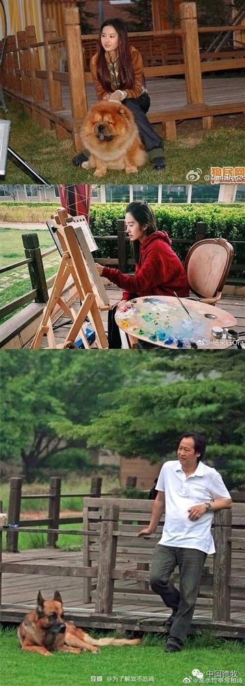 Nghi vấn thần tiên tỷ tỷ” Lưu Diệc Phi làm giả bằng cấp ở Học viện Điện ảnh Bắc Kinh-3