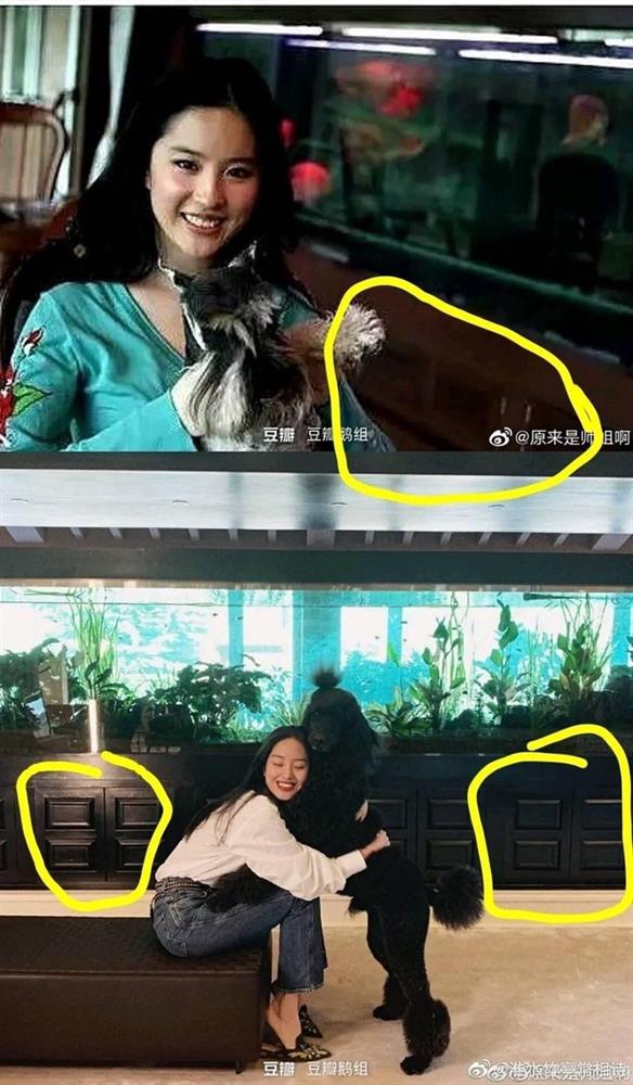 Nghi vấn thần tiên tỷ tỷ” Lưu Diệc Phi làm giả bằng cấp ở Học viện Điện ảnh Bắc Kinh-4