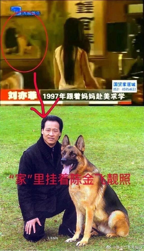 Nghi vấn thần tiên tỷ tỷ” Lưu Diệc Phi làm giả bằng cấp ở Học viện Điện ảnh Bắc Kinh-5