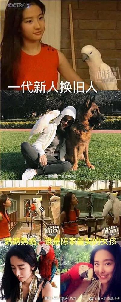 Nghi vấn thần tiên tỷ tỷ” Lưu Diệc Phi làm giả bằng cấp ở Học viện Điện ảnh Bắc Kinh-7