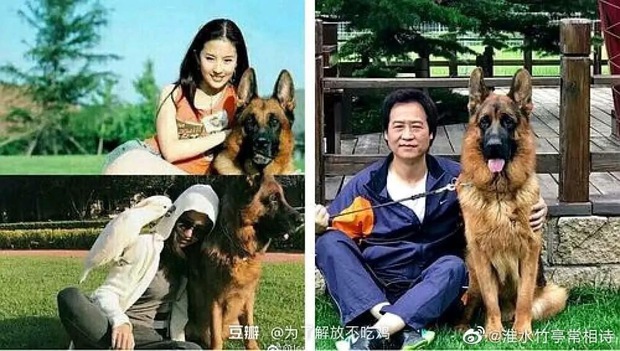 Nghi vấn thần tiên tỷ tỷ” Lưu Diệc Phi làm giả bằng cấp ở Học viện Điện ảnh Bắc Kinh-8