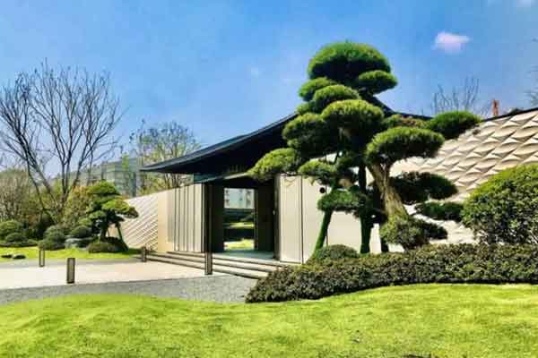 5 cây cảnh độc thường được nuôi trong nhà, càng đẹp càng độc, ít người cưỡng lại được-11