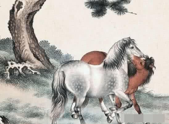 3 con giáp nữ trời sinh phượng hoàng, có thể kiếm tiền, quán xuyến gia đình, ai cưới được về thịnh vượng ba đời-3