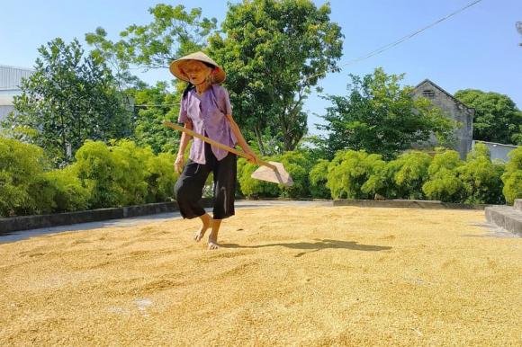 Bài văn miêu tả vườn nhà bà toàn dấu huyền khiến cộng đồng mạng ngạc nhiên lẫn cảm động-2