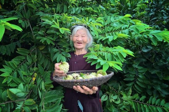 Bài văn miêu tả vườn nhà bà toàn dấu huyền khiến cộng đồng mạng ngạc nhiên lẫn cảm động-4