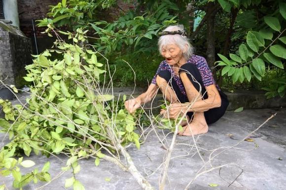 Bài văn miêu tả vườn nhà bà toàn dấu huyền khiến cộng đồng mạng ngạc nhiên lẫn cảm động-5