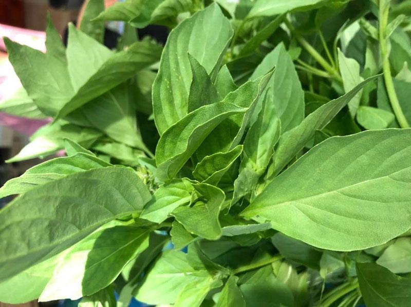 Đem mớ rau từ Đà Lạt ra Hà Nội bán giá đắt hơn thịt gà đặc sản-1