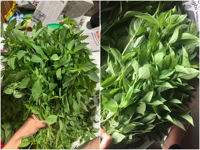 Đem mớ rau từ Đà Lạt ra Hà Nội bán giá đắt hơn thịt gà đặc sản-3