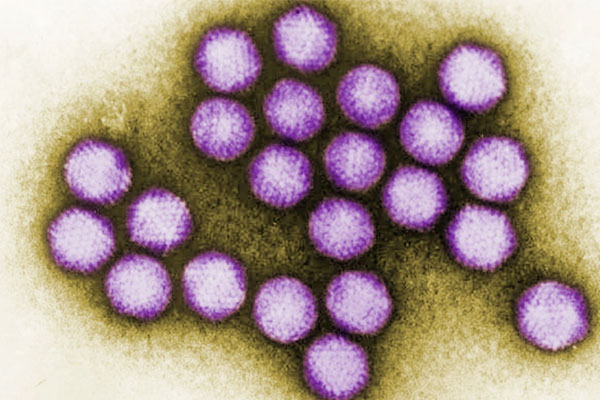 CDC Mỹ: Làn sóng viêm gan bí ẩn có thể không tồn tại-1