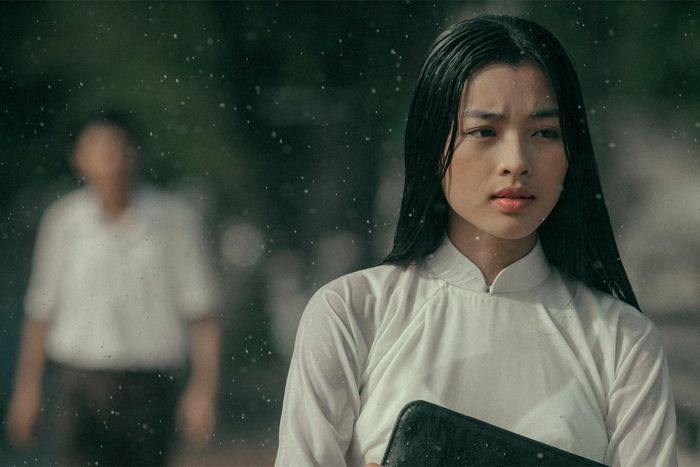 Em và Trịnh như nồi lẩu thập cẩm-9