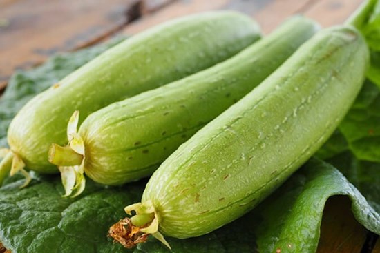 Vì sao ăn quả mướp có vị đắng dễ gây ngộ độc?