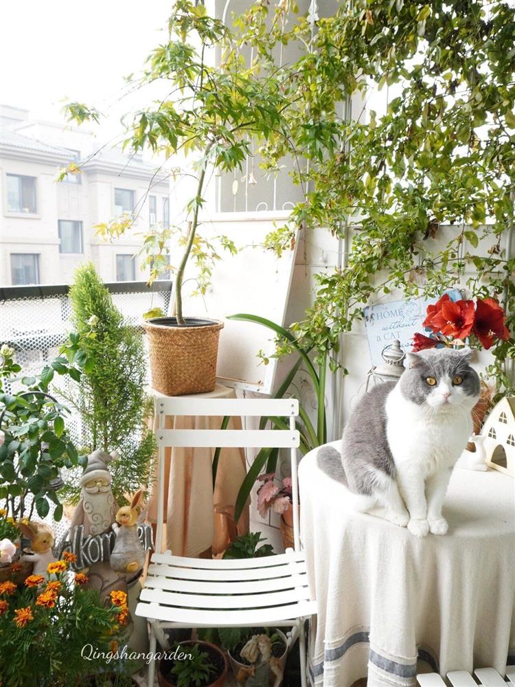 Mẹ đảm ở thành phố tận hưởng trọn vẹn thú vui trồng cây bên ngoài ban công nhà chỉ vỏn vẹn 4m²-2